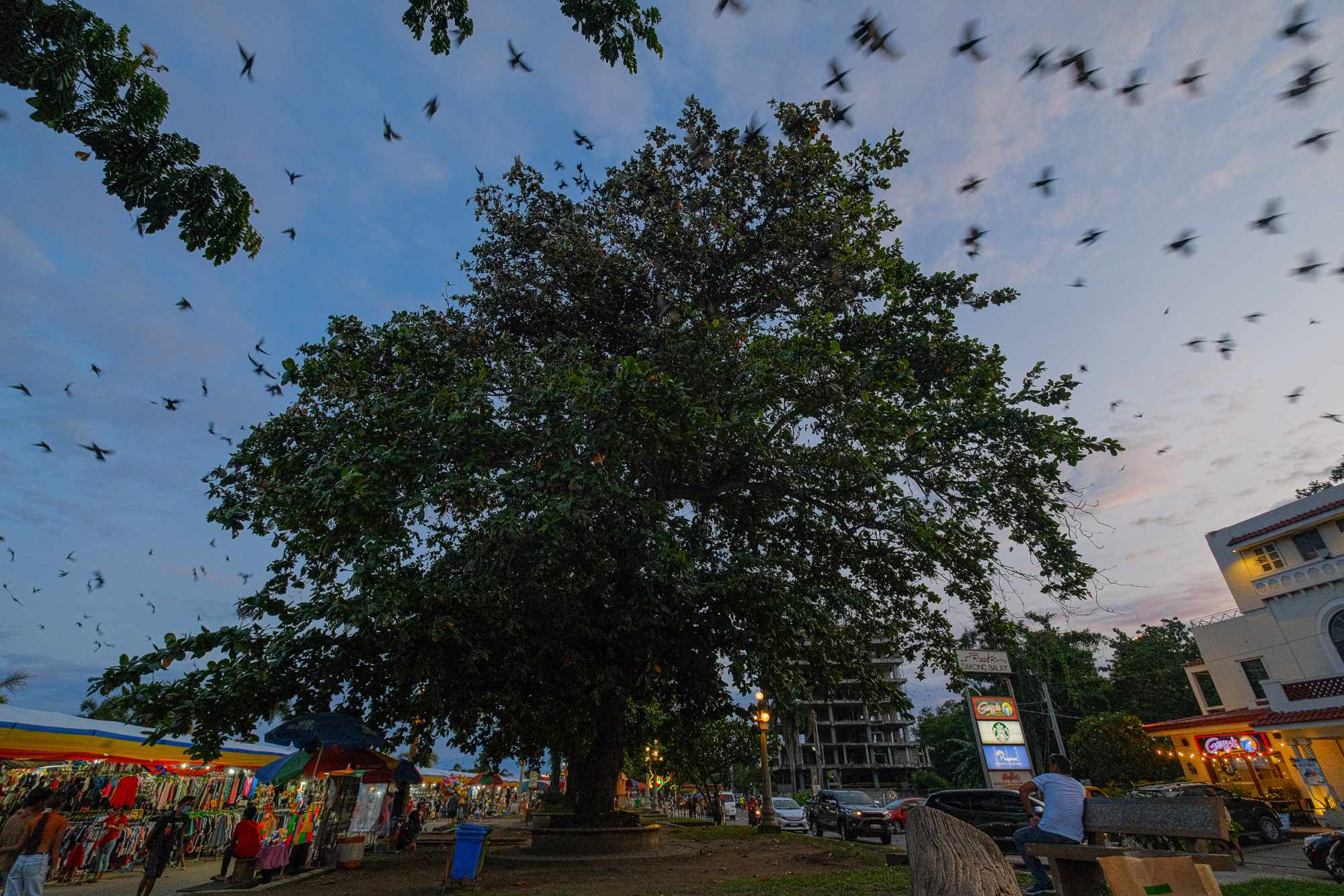Explore Dumaguete